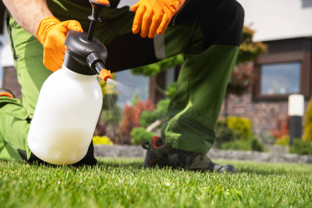Best Flea Control Services  in San Angelo, TX