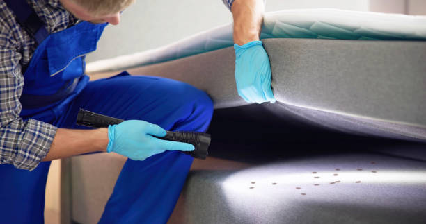 Best Pest Removal Services  in San Angelo, TX