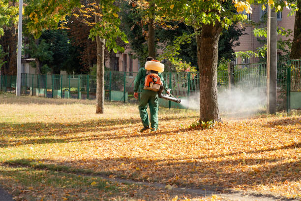 Wasp Removal Services in San Angelo, TX