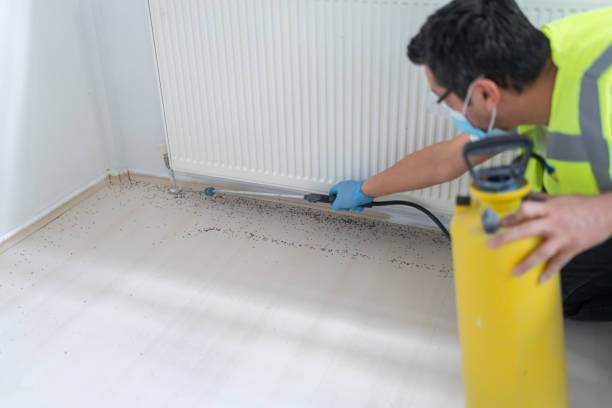 Best Commercial Pest Control Services  in San Angelo, TX